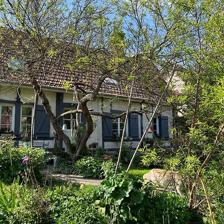 Chambre Cosy Bonnieres Εξωτερικό φωτογραφία